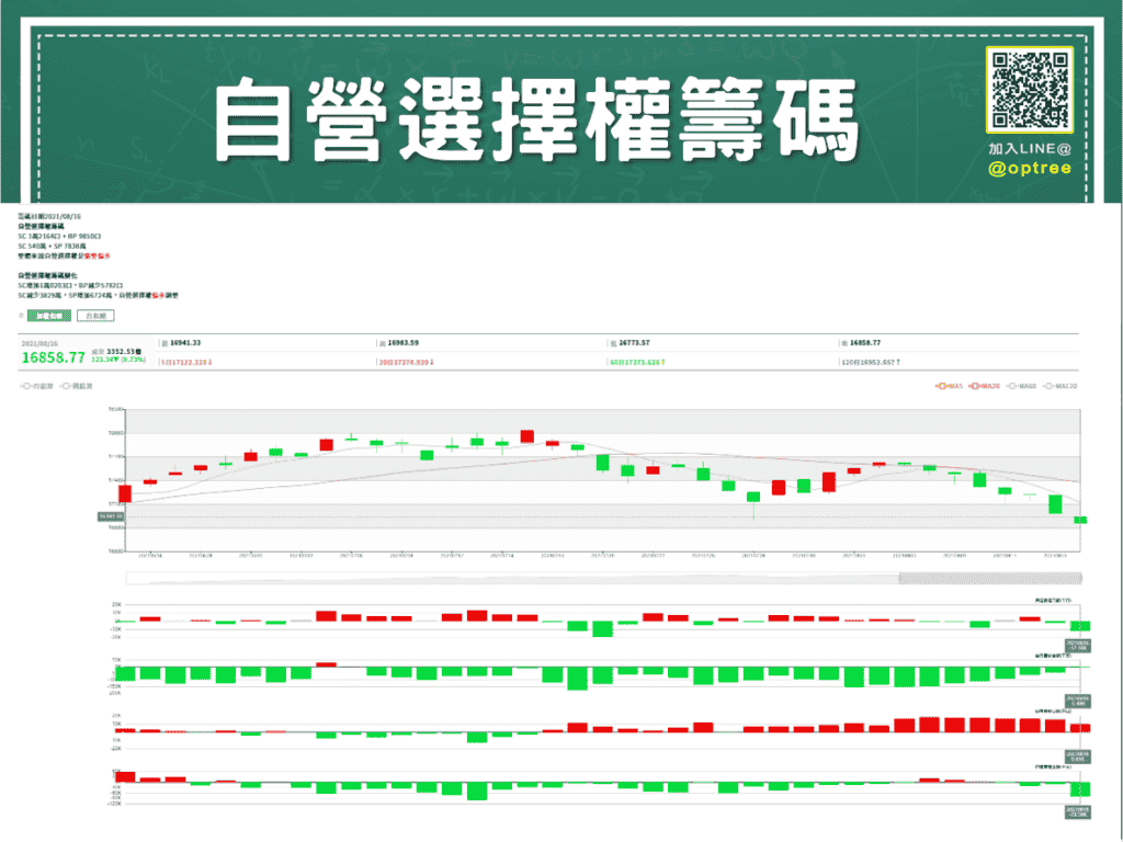 三大法人選擇權